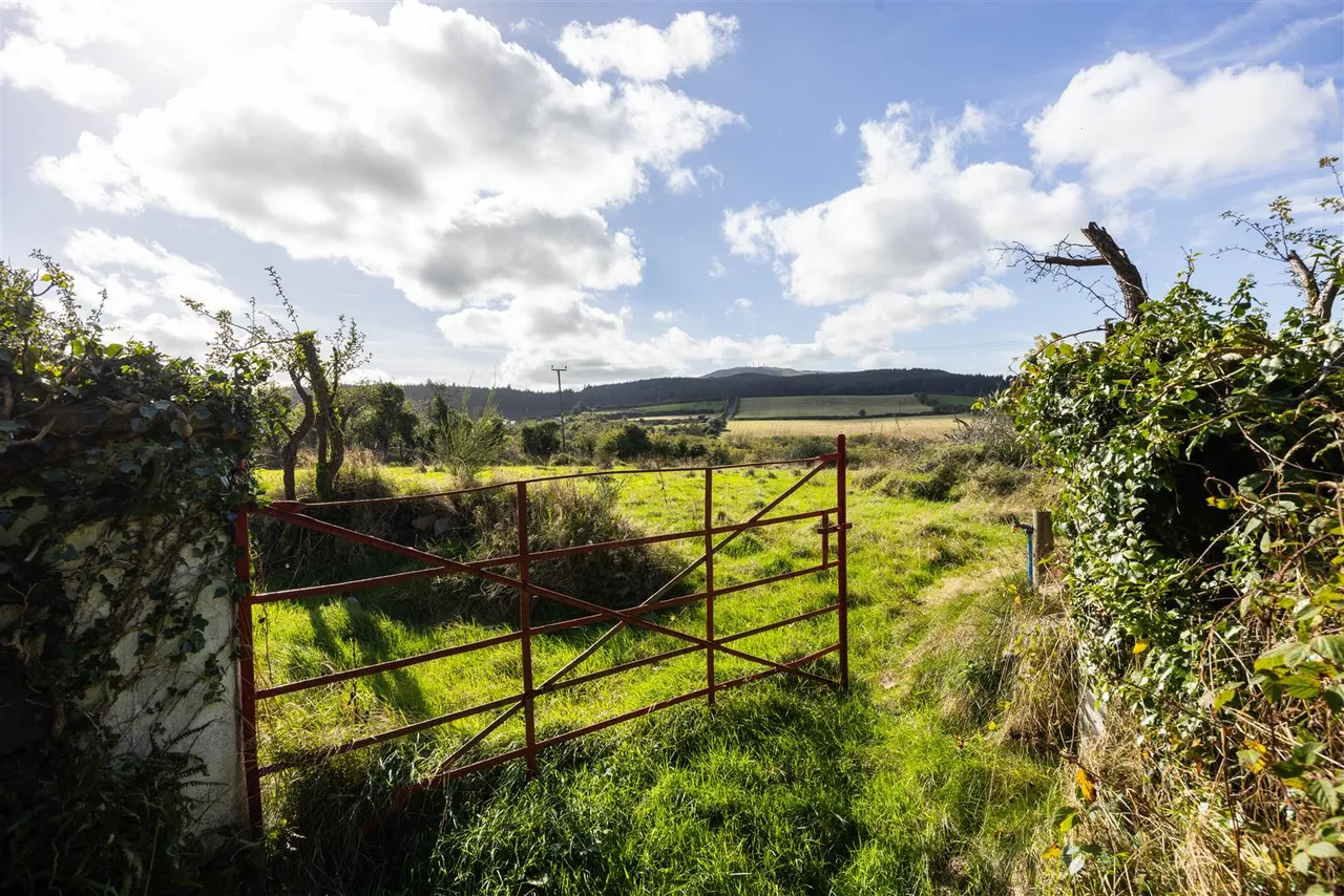 Magherahamlet Road, Ballynahinch, BT24, photo 39