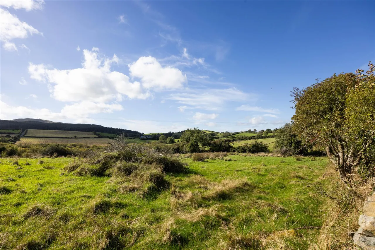 Magherahamlet Road, Ballynahinch, BT24, photo 40