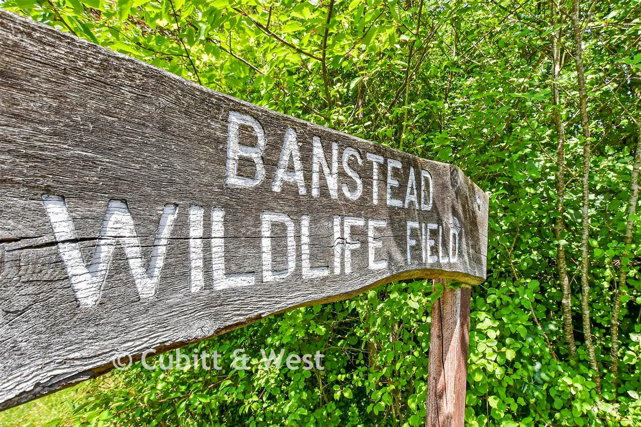Basing Road, Banstead, SM7, photo 12