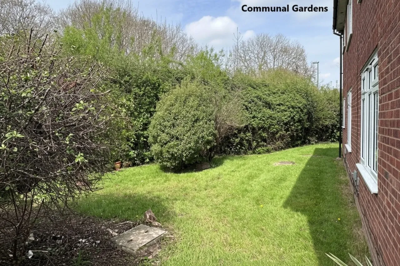 Horsham, West Sussex, photo 10