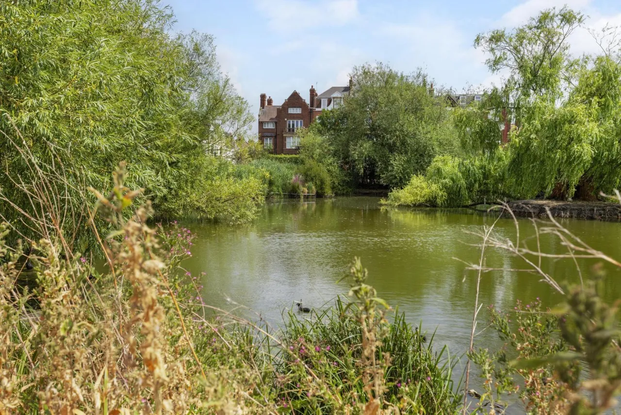 Cavendish Parade, Clapham South, SW4, photo 9