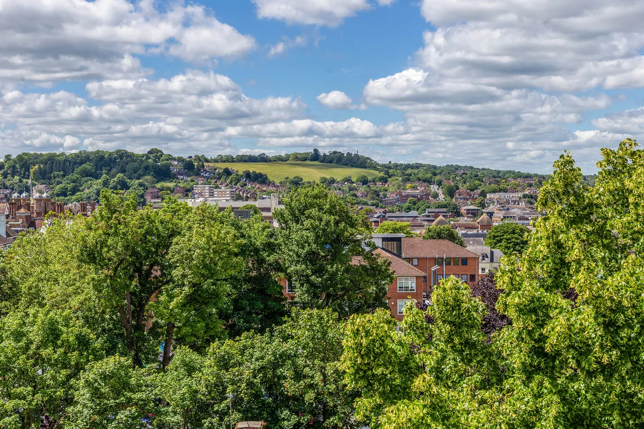 Alexandra Terrace, Guildford, GU1, photo 12