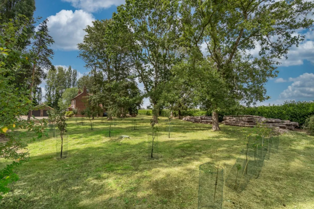 Overwood Lane, Forncett St. Peter, NR16, photo 35
