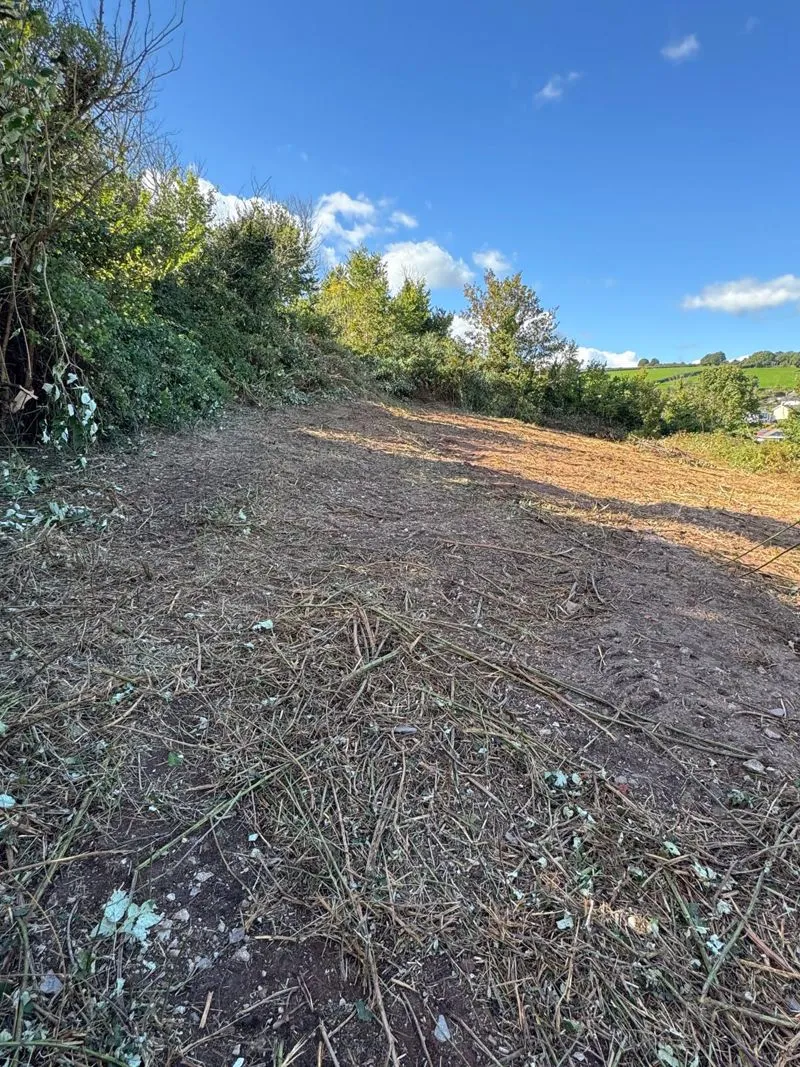 Smugglers Lane, Holcombe, Dawlish, photo 2