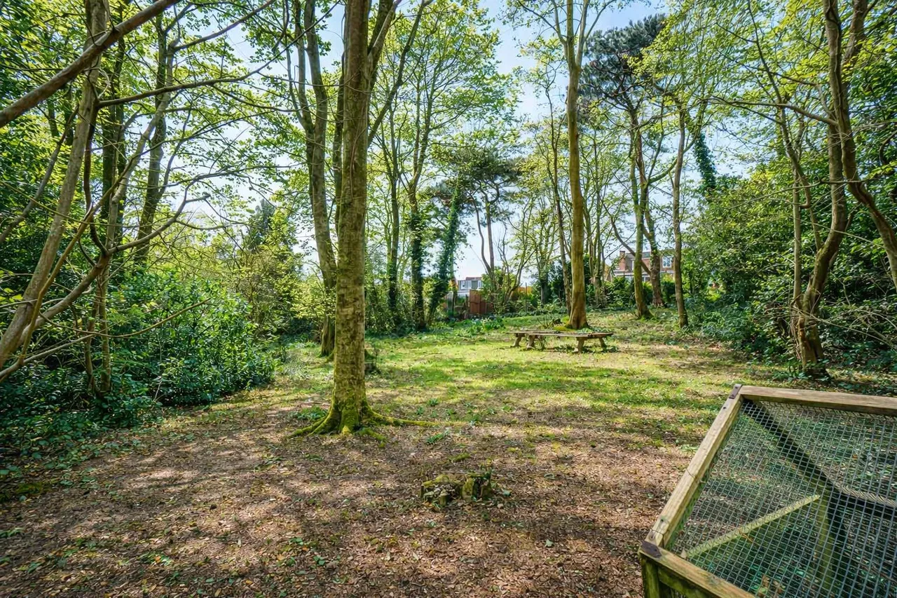 Battery Hill, Fairlight, photo 8