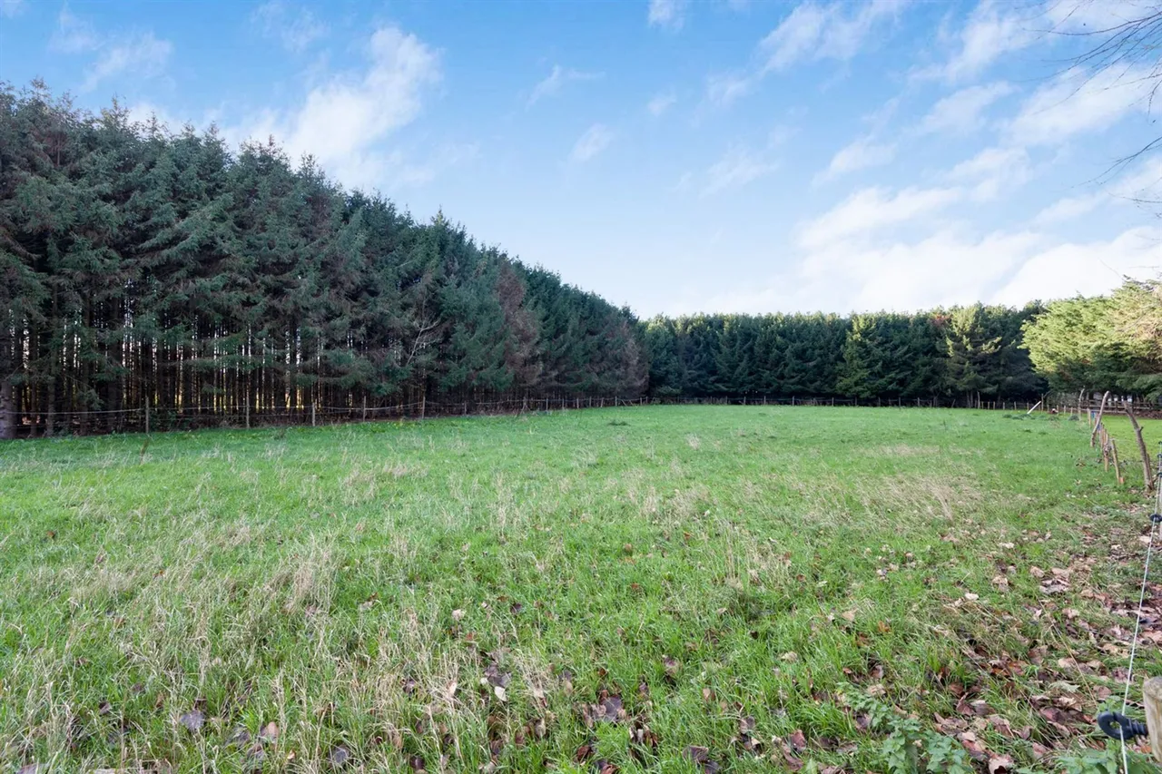 Little Ees Lane, Sale, photo 26