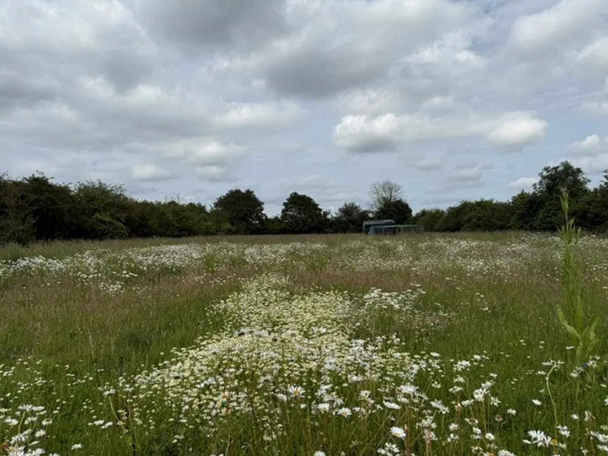 The Street, Denham, IP21, photo 35