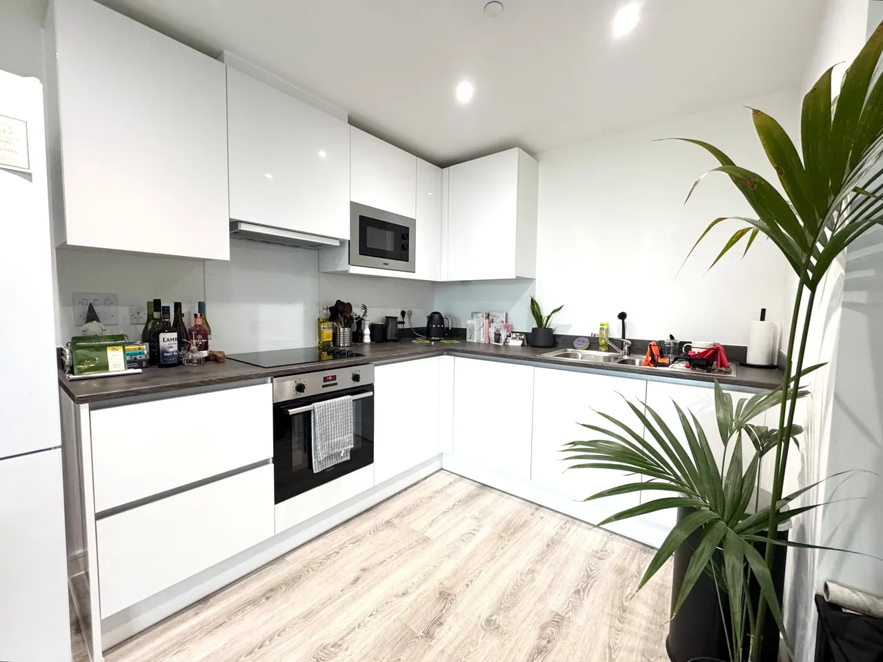 Bilsborrow Avenue, DE1, photo 3
