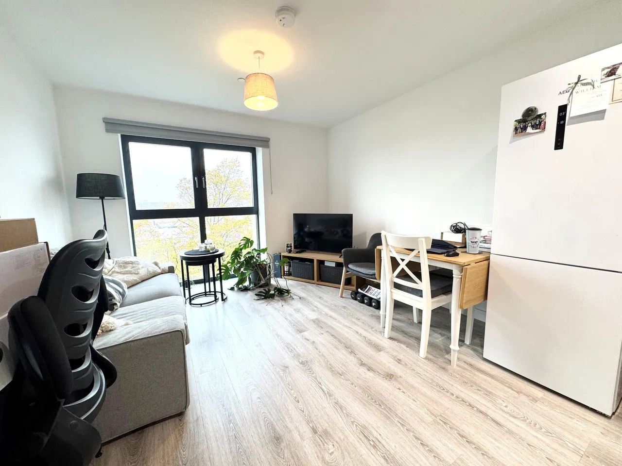 Bilsborrow Avenue, DE1, photo 5