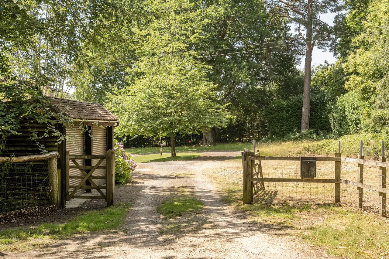 Kings Drive, Midhurst, GU29, photo 24