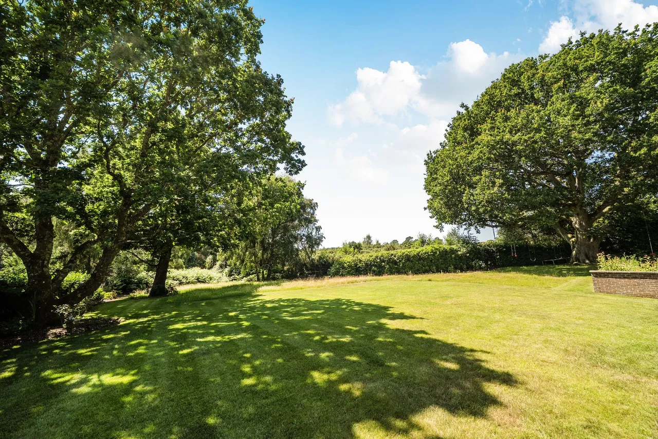 Kings Drive, Midhurst, GU29, photo 21