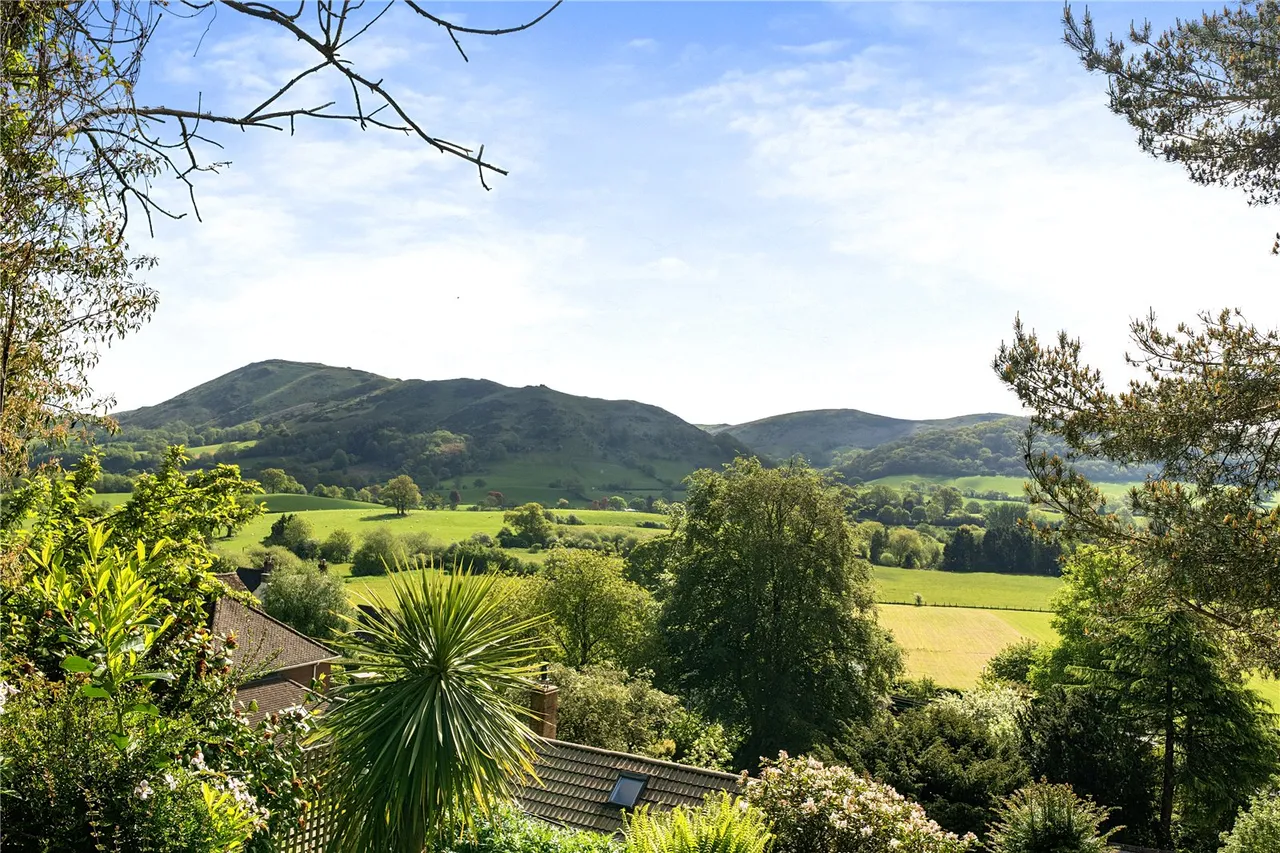 Madeira Walk, Church Stretton, SY6, photo 19