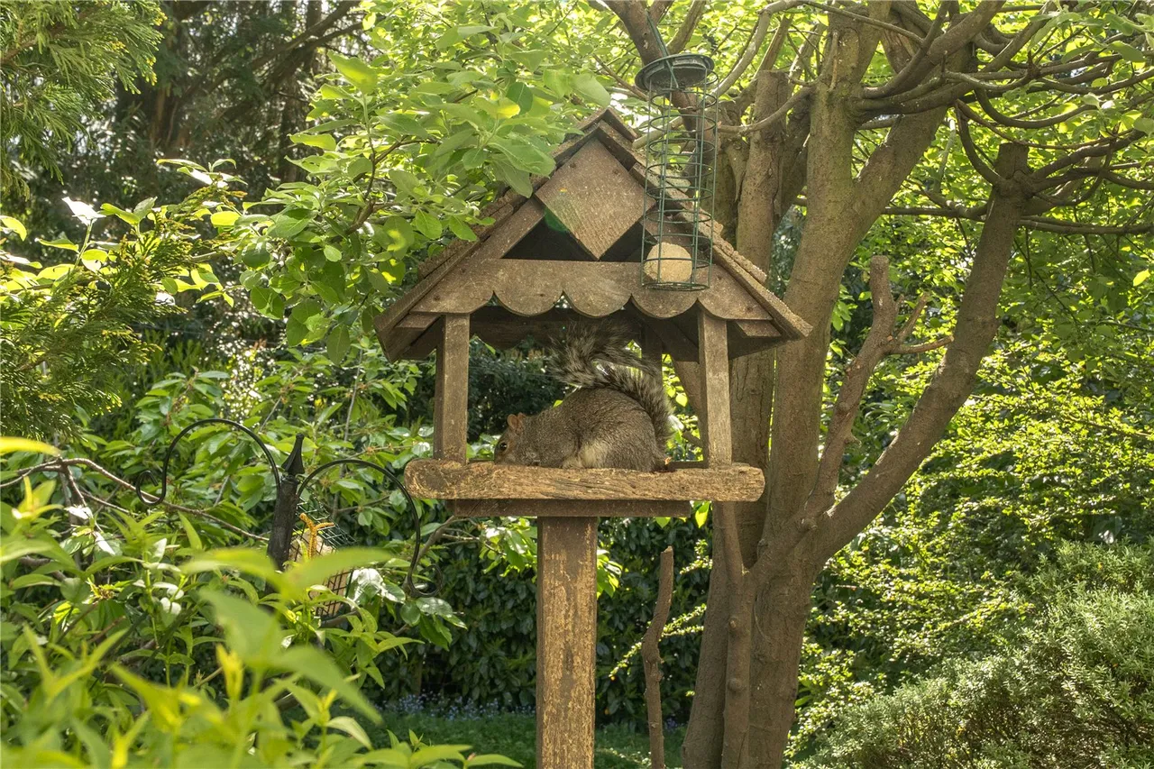Madeira Walk, Church Stretton, SY6, photo 21