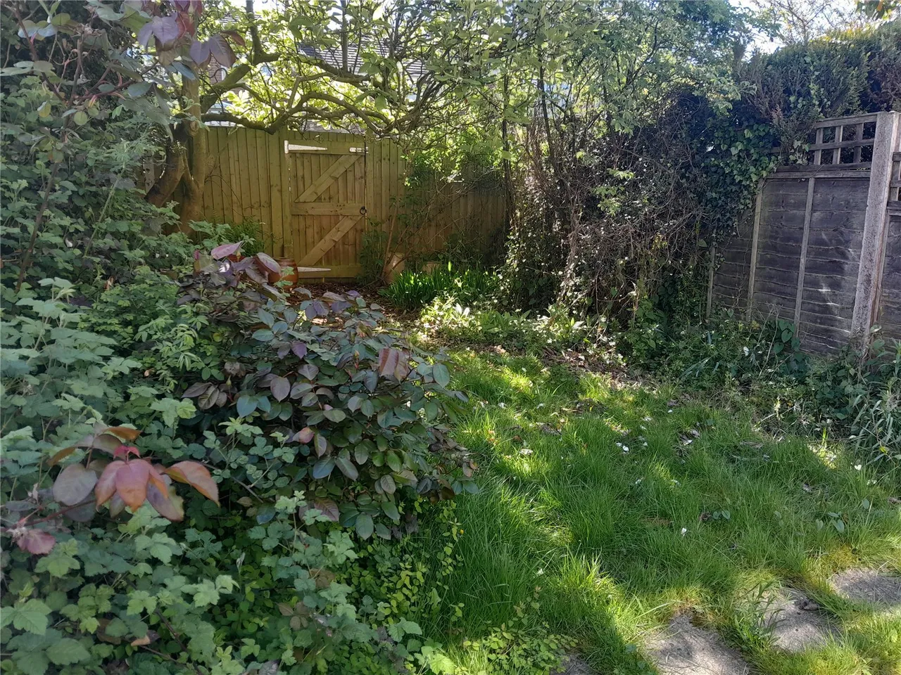 Duncombe Green, Coleshill, B46, photo 4