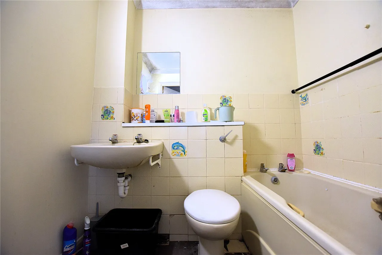 Mayday Road, Thornton Heath, CR7, photo 6
