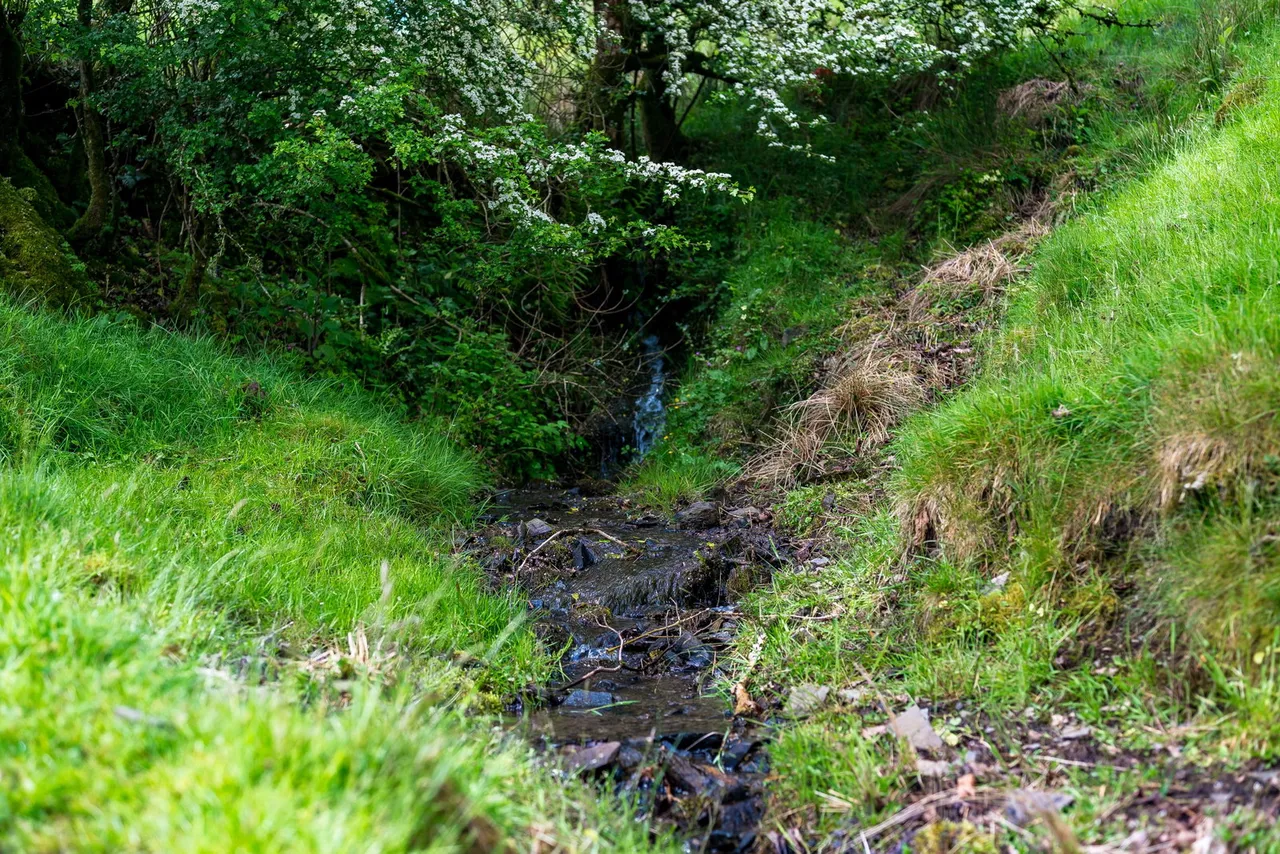 Pool Garth, Cartmel Fell, LA11, photo 41