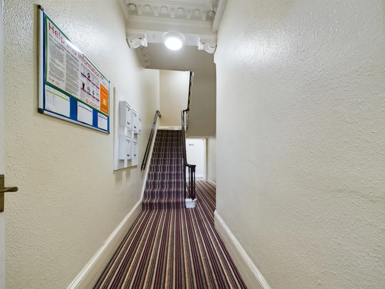Woodland Terrace, Greenbank, PL4, photo 10