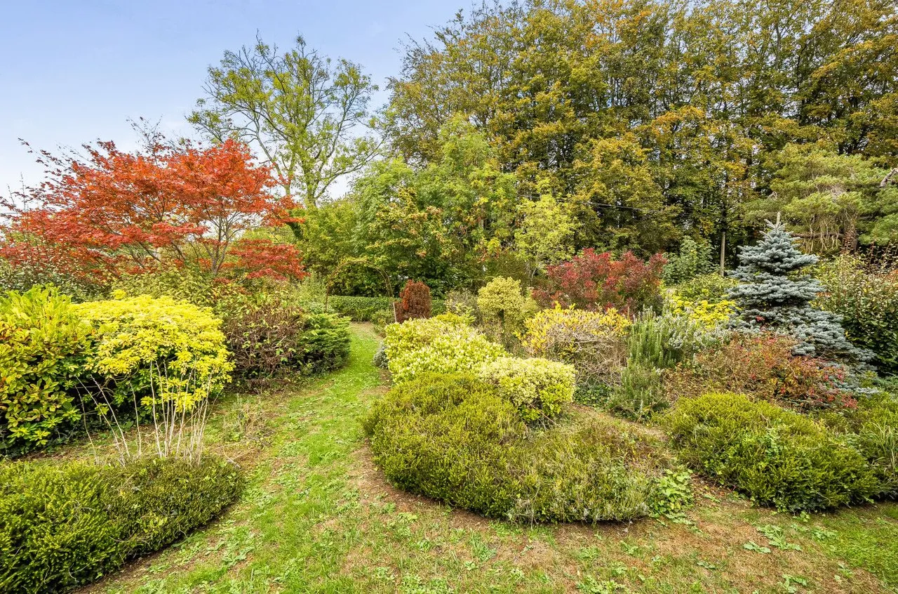 Sunny Hill, Bruton, BA10, photo 14