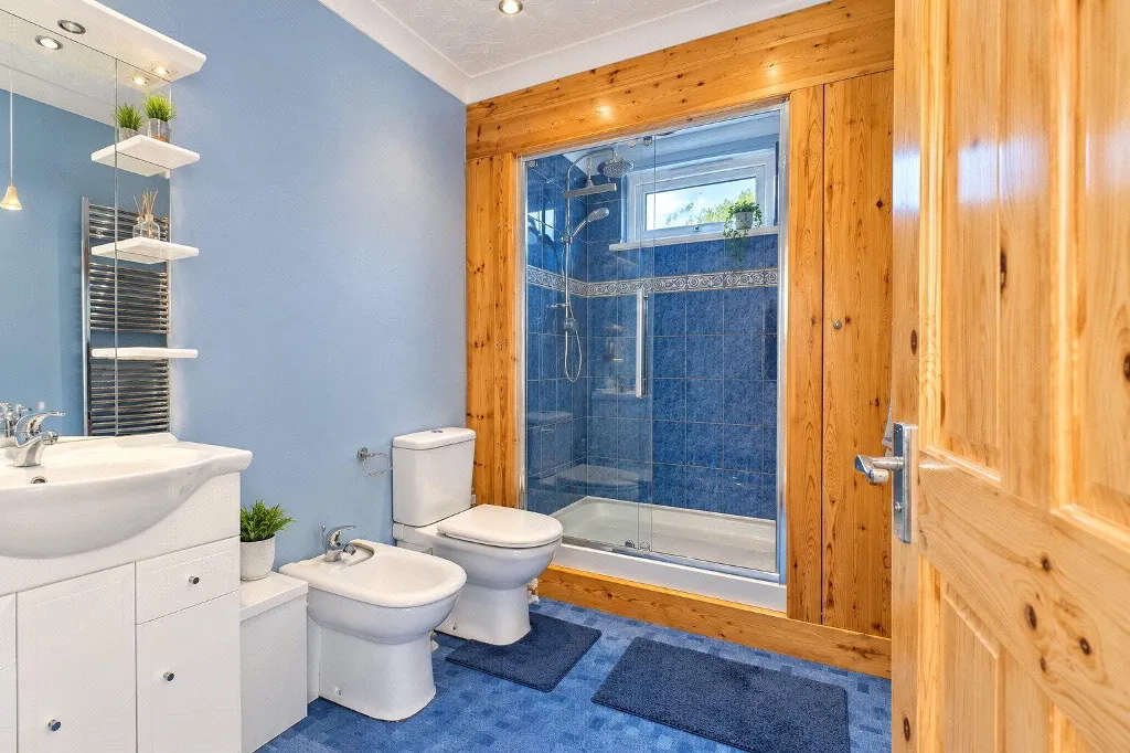 Pynes Lane, Bideford, EX39, photo 24