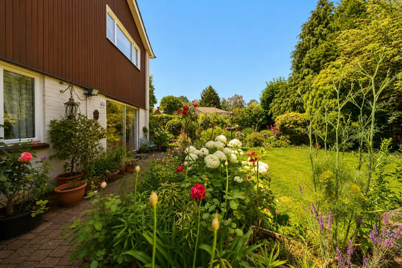 Whitney Drive, Stevenage, Herts, SG1 4BJ, photo 31