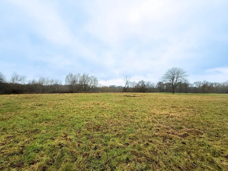 The Holmbury, Tilthams Corner Road, Bramley, Guildford, Surrey, GU5 0BT, photo 4