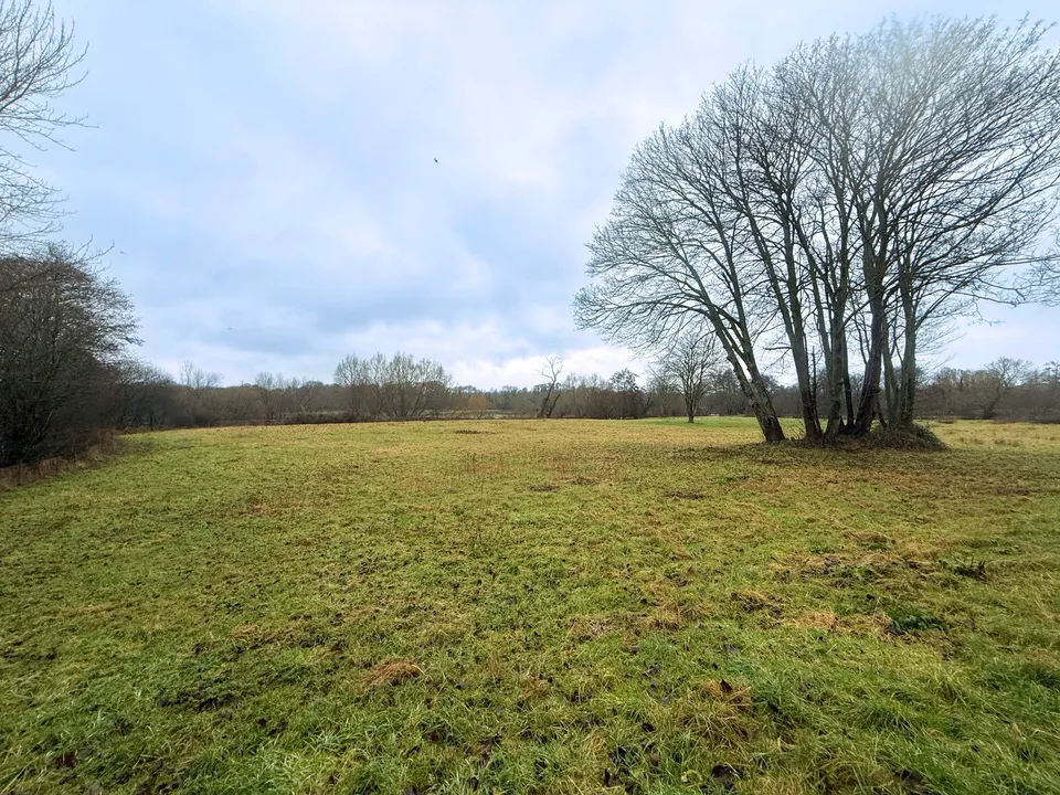 The Holmbury, Tilthams Corner Road, Bramley, Guildford, Surrey, GU5 0BT, photo 3
