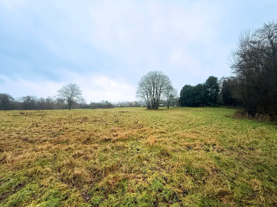 The Holmbury, Tilthams Corner Road, Bramley, Guildford, Surrey, GU5 0BT, photo 5