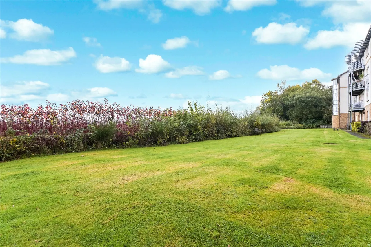 Hamilton Park South, Hamilton, ML3, photo 20