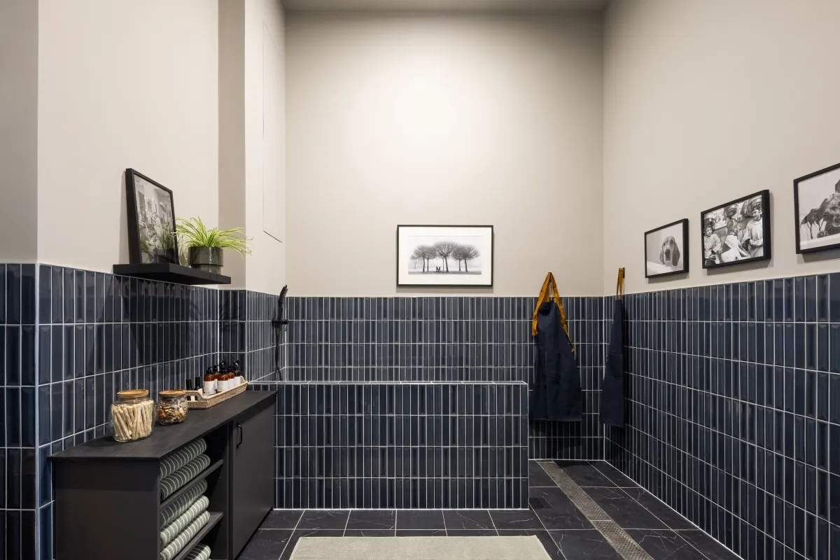 Enclave, 149 Hurst Street Birmingham B5, photo 10