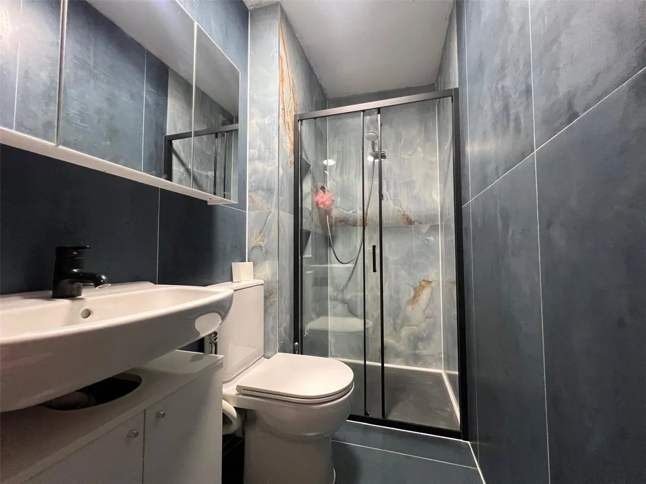 Carlton Avenue East, Wembley, Middx, HA9, photo 5