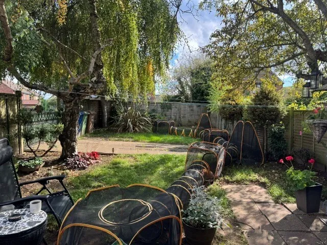 Wisbech, PE13, photo 4