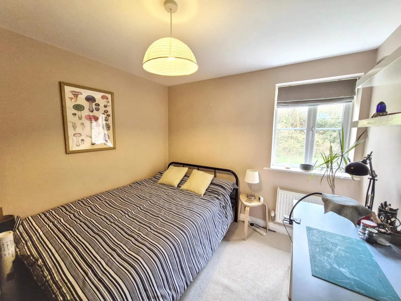 Rosva Morgowr, Falmouth, photo 6