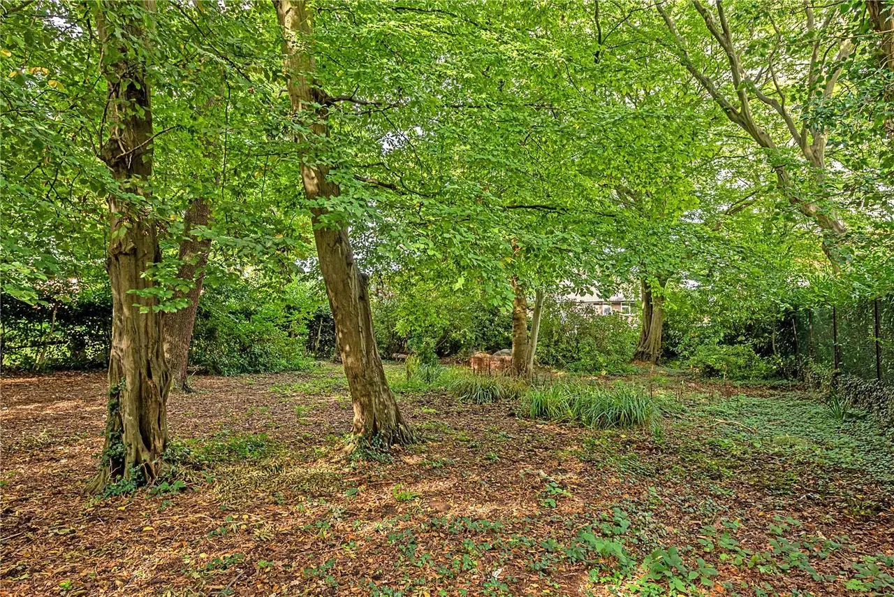 Winnington Road, Hampstead Garden Suburb, London, N2 0TP, photo 7