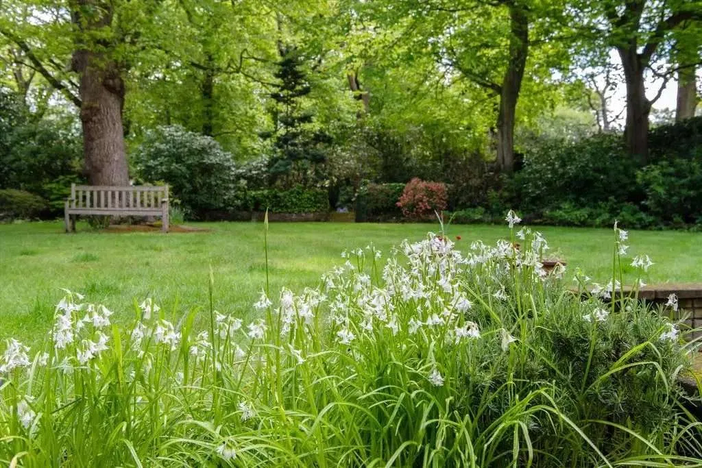 Winnington Road, Hampstead Garden Suburb, London, N2 0TP, photo 8
