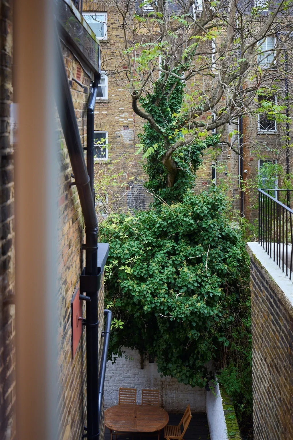 Westgate Terrace, London, SW10, photo 9