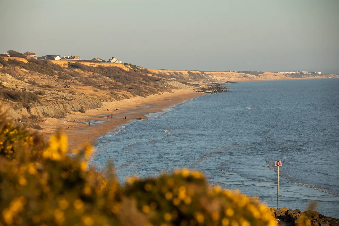 Brockhills Lane, New Milton, photo 11