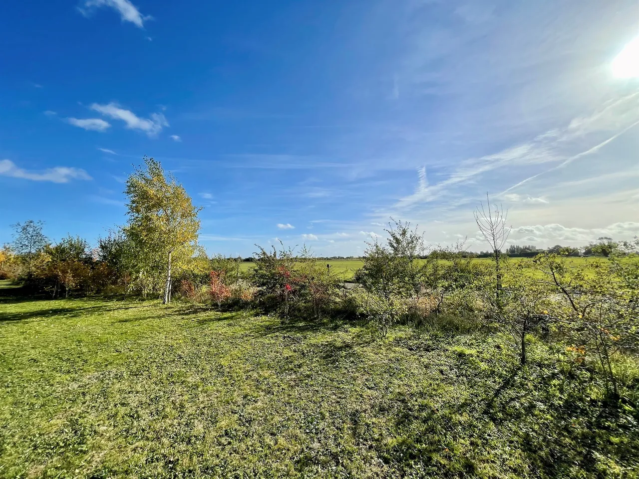 Mayfield Gardens, Peterborough, PE6, photo 9