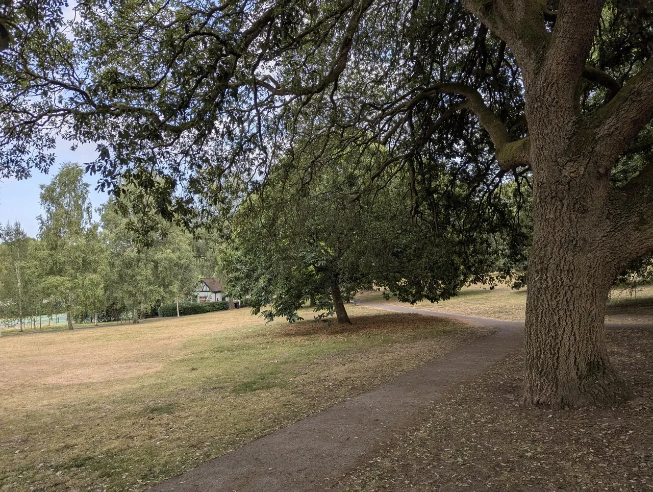 Forde Park, Newton Abbot, TQ12, photo 17