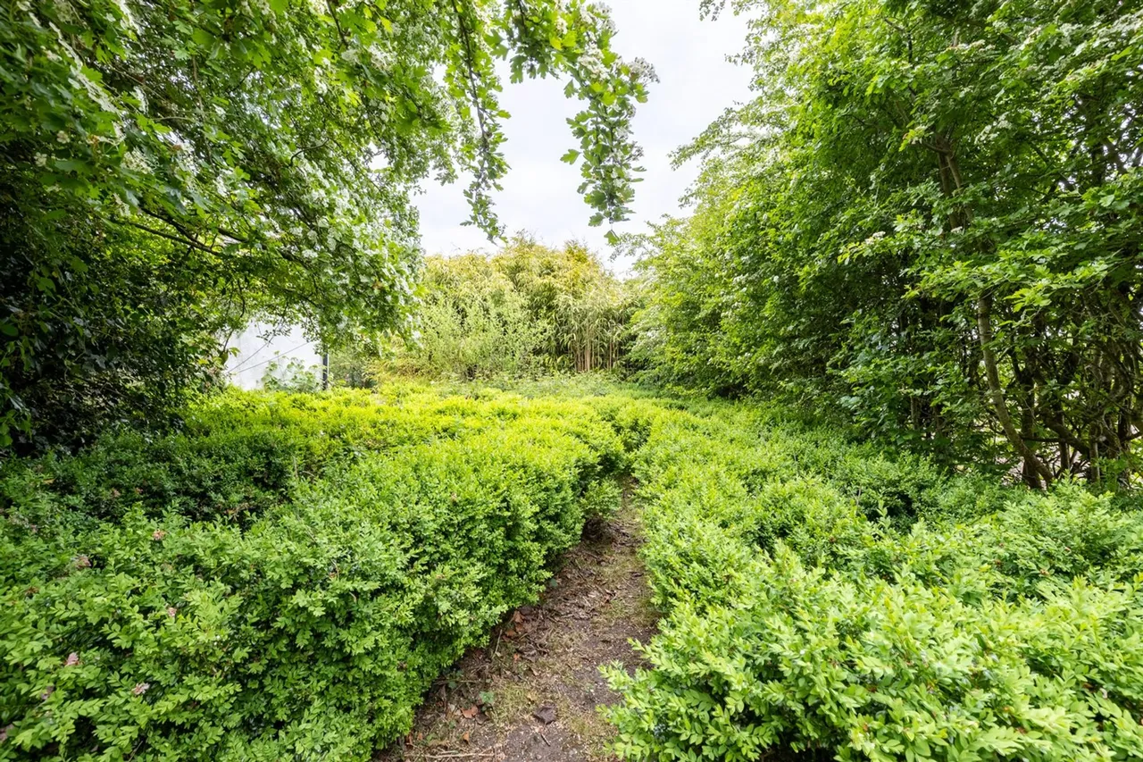 Cotebrook, Tarporley, photo 22