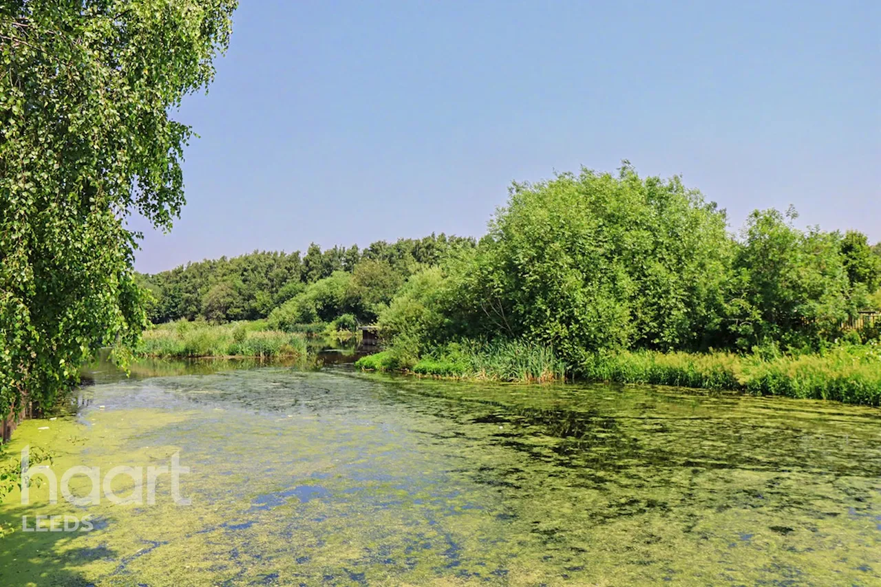 Aire Quay, Leeds, LS10, photo 16