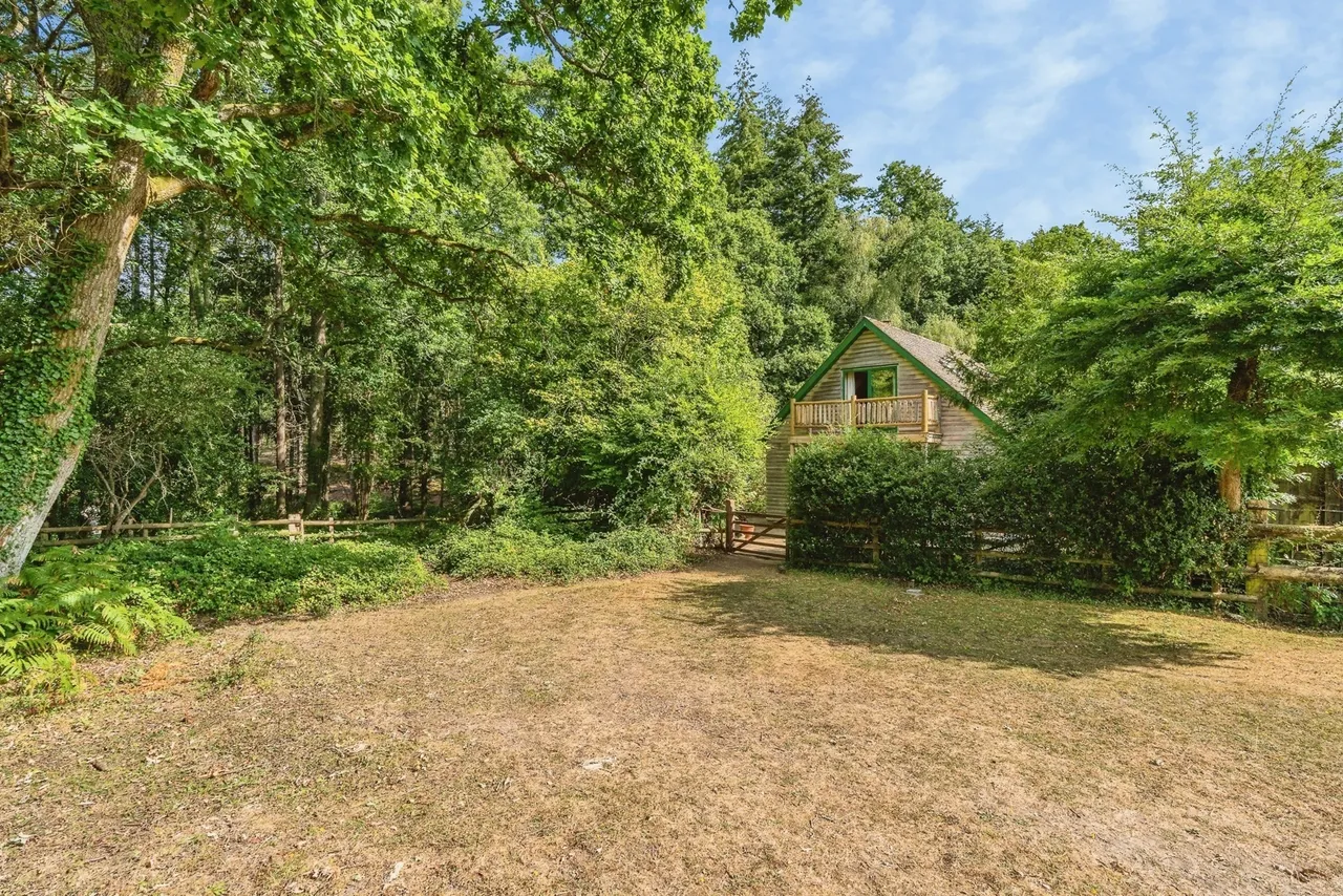 The Grove, Minstead, SO43, photo 8