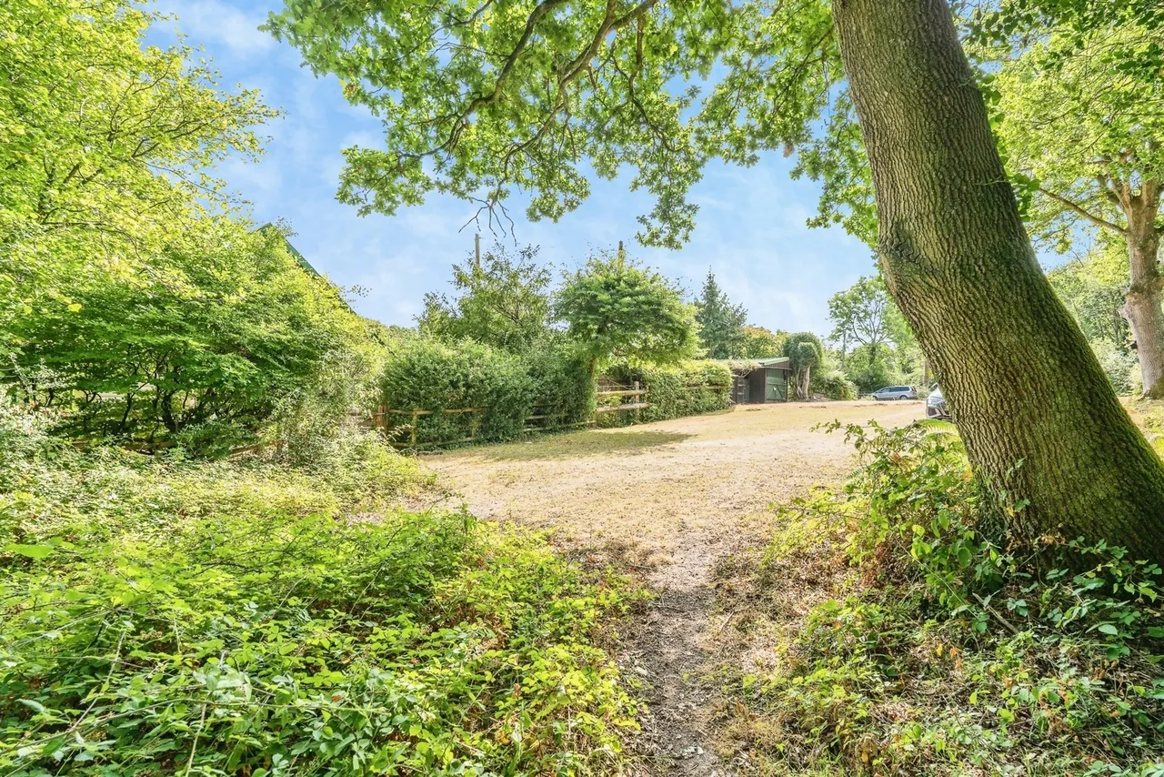 The Grove, Minstead, SO43, photo 20