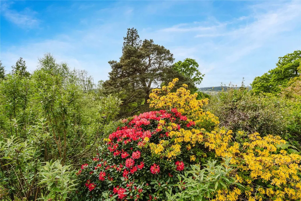Glenarn Road, Rhu, G84, photo 36