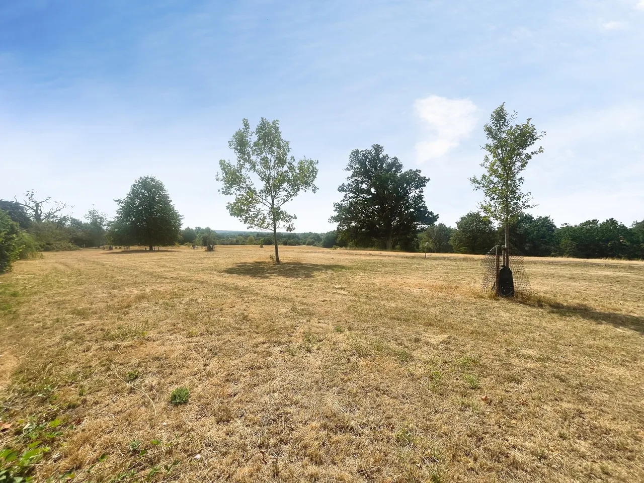 Oast House Crescent, Farnham, Surrey, GU9 0NP, photo 16