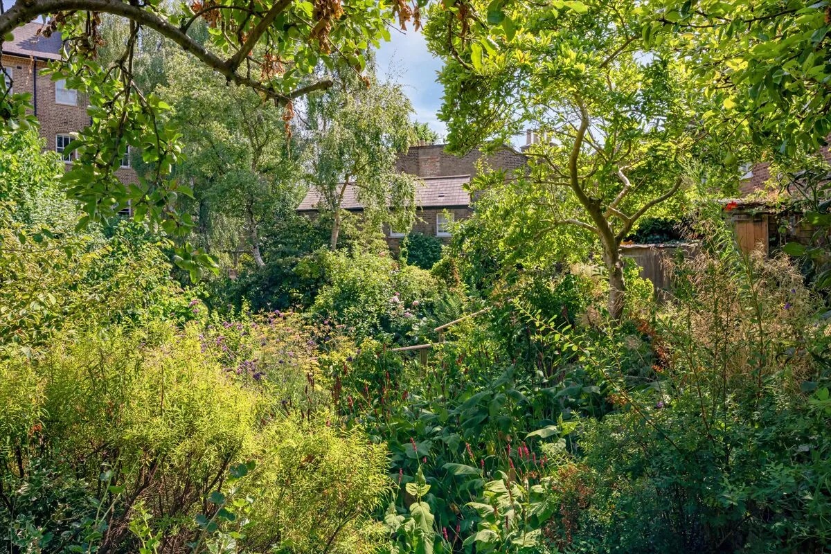 Mansfield Place, Hampstead, NW3, photo 13