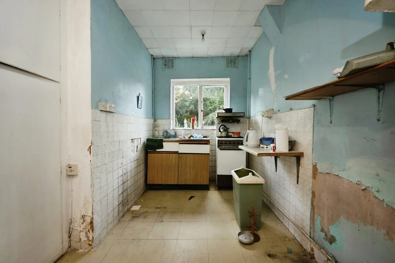 High Town Road, Luton, LU2, photo 13