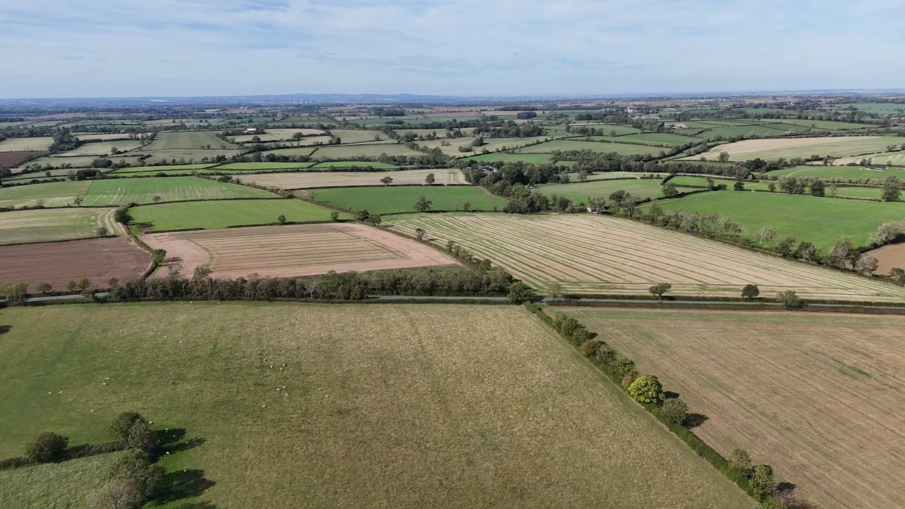 Carlton Curlieu, Leicester, LE8, photo 15