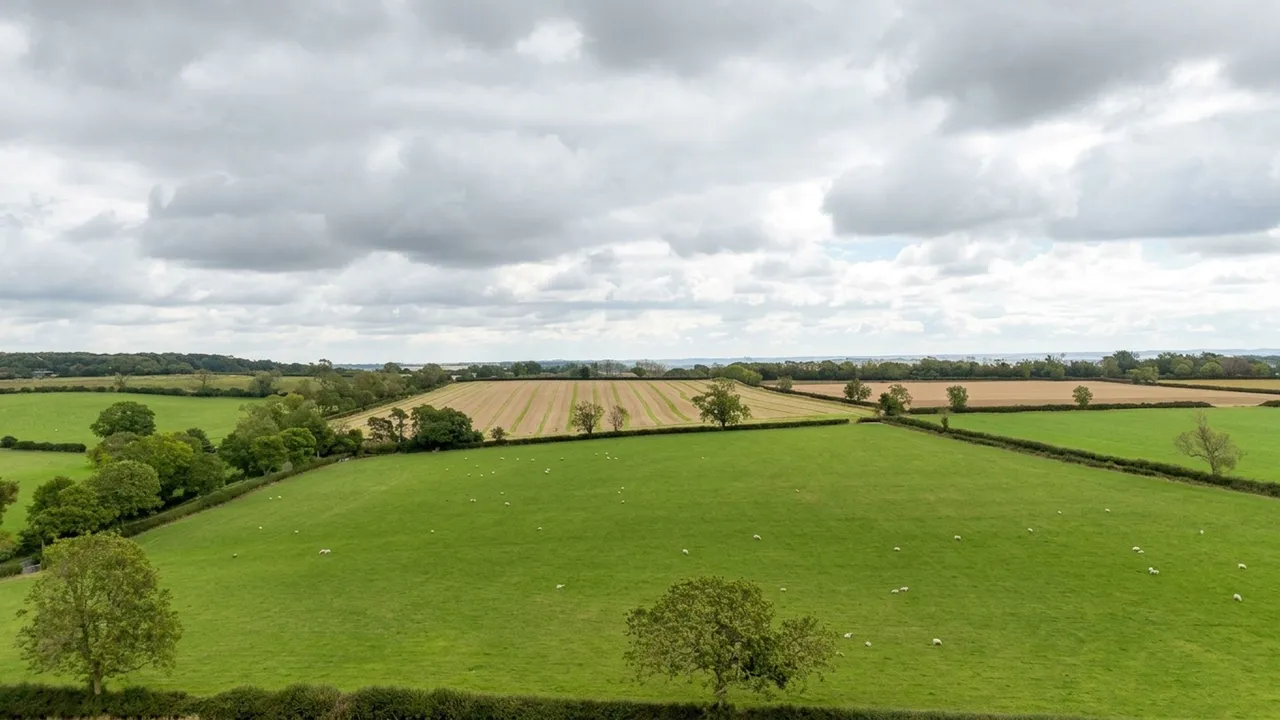 Carlton Curlieu, Leicester, LE8, photo 7