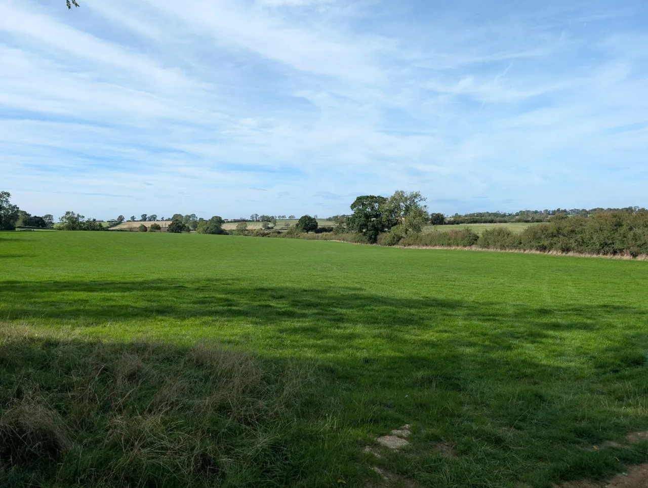 Carlton Curlieu, Leicester, LE8, photo 10