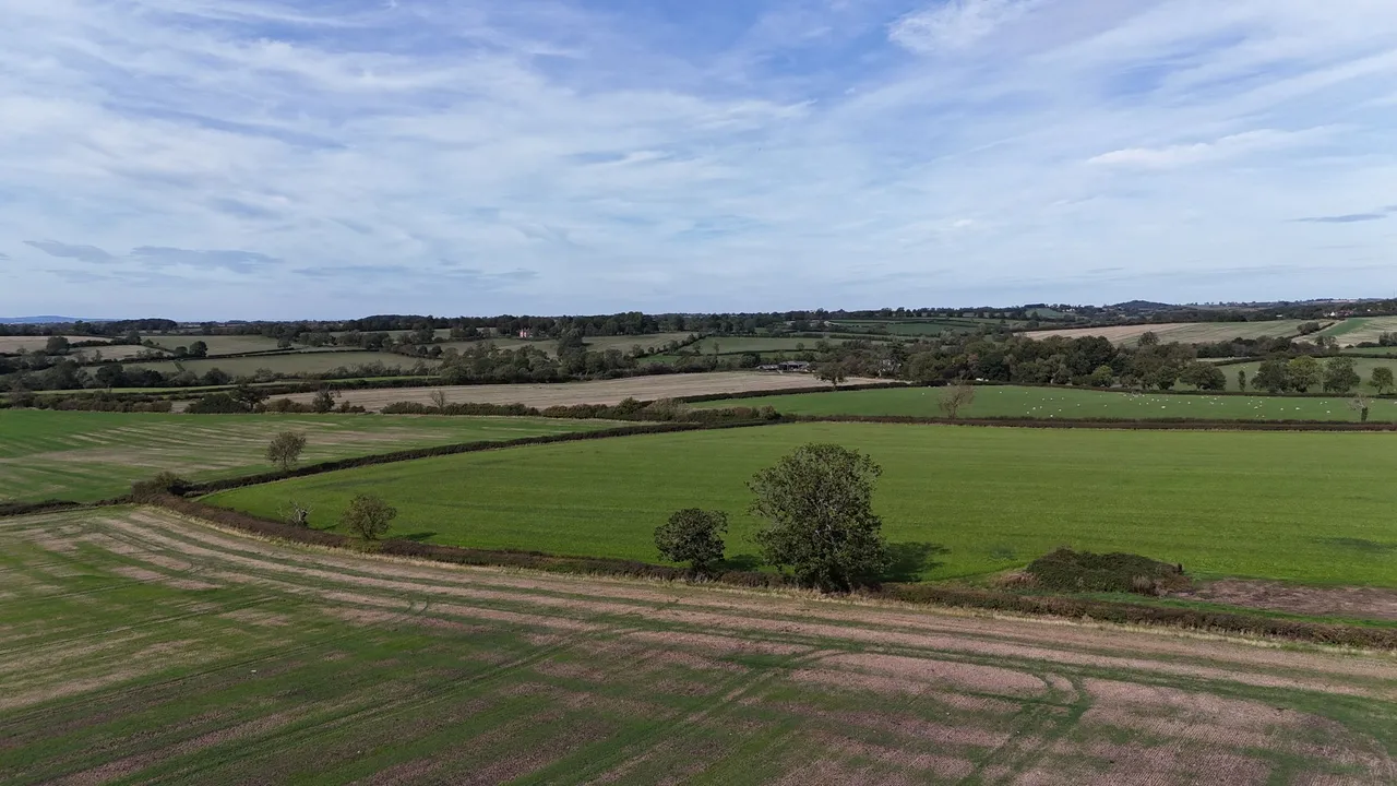 Carlton Curlieu, Leicester, LE8, photo 18